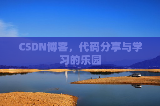 CSDN博客，代码分享与学习的乐园